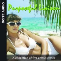 purposeful-liaison-a-collection-of-five-erotic-stories.jpg