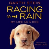 racing-in-the-rain-my-life-as-a-dog.jpg