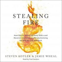 stealing-fire-how-silicon-valley-the-navy-seals-and-maverick-scientists-are-revolutionizing-the-way-we-live-and-work.jpg