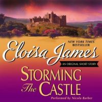 storming-the-castle-an-original-short-story.jpg