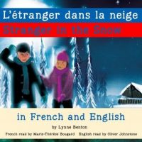 stranger-in-the-snowletranger-dans-la-neige.jpg