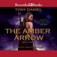 the-amber-arrow.jpg