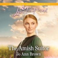 the-amish-suitor.jpg