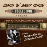 the-amos-n-andy-show-collection-1.jpg