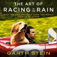 the-art-of-racing-in-the-rain.jpg