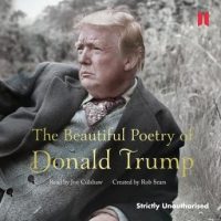 the-beautiful-poetry-of-donald-trump.jpg