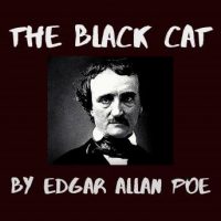 the-black-cat.jpg
