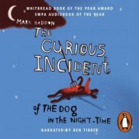 the-curious-incident-of-the-dog-in-the-night-time-vintage-childrens-classics.jpg