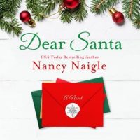 the-dear-santa-a-novel.jpg