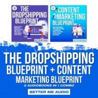 the-dropshipping-blueprint-content-marketing-blueprint-2-audiobooks-in-1-combo.jpg
