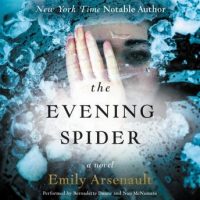 the-evening-spider-a-novel.jpg