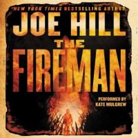 the-fireman-a-novel.jpg