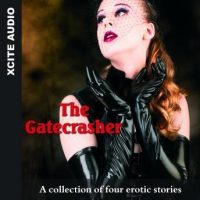the-gatecrasher-a-collection-of-four-erotic-stories.jpg