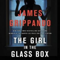 the-girl-in-the-glass-box-a-jack-swyteck-novel.jpg