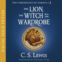 the-lion-the-witch-and-the-wardrobe.jpg