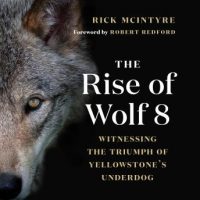 the-rise-of-wolf-8.jpg