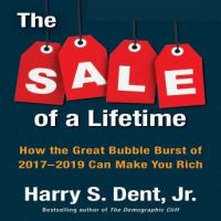 the-sale-a-lifetime-how-the-great-bubble-burst-of-2017-2019-can-make-you-rich.jpg