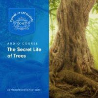 the-secret-life-of-trees.jpg