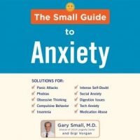 the-small-guide-to-anxiety.jpg