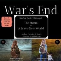 the-storm-wars-end.jpg