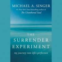 the-surrender-experiment-my-journey-into-lifes-perfection.jpg