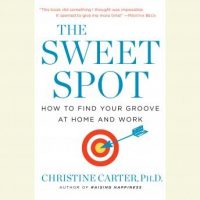 the-sweet-spot-how-to-accomplish-more-by-doing-less.jpg