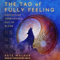 the-tao-of-fully-feeling-harvesting-forgiveness-out-of-blame.jpg