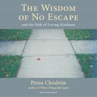 the-wisdom-of-no-escape-and-the-path-of-loving-kindness.jpg