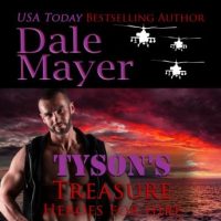 tysons-treasure-book-11-heroes-for-hire.jpg