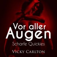 vor-aller-augen-scharfe-quickies-erotik-horbuch.jpg