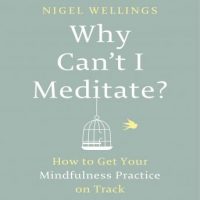 why-cant-i-meditate-how-to-get-your-mindfulness-practice-on-track.jpg