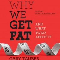 why-we-get-fat-and-what-to-do-about-it.jpg