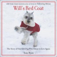 wills-red-coat-the-story-of-one-old-dog-who-chose-to-live-again.jpg