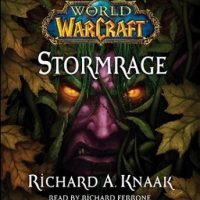 world-of-warcraft-stormrage.jpg