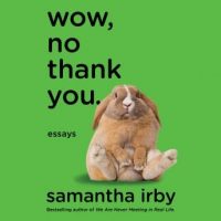 wow-no-thank-you-essays.jpg